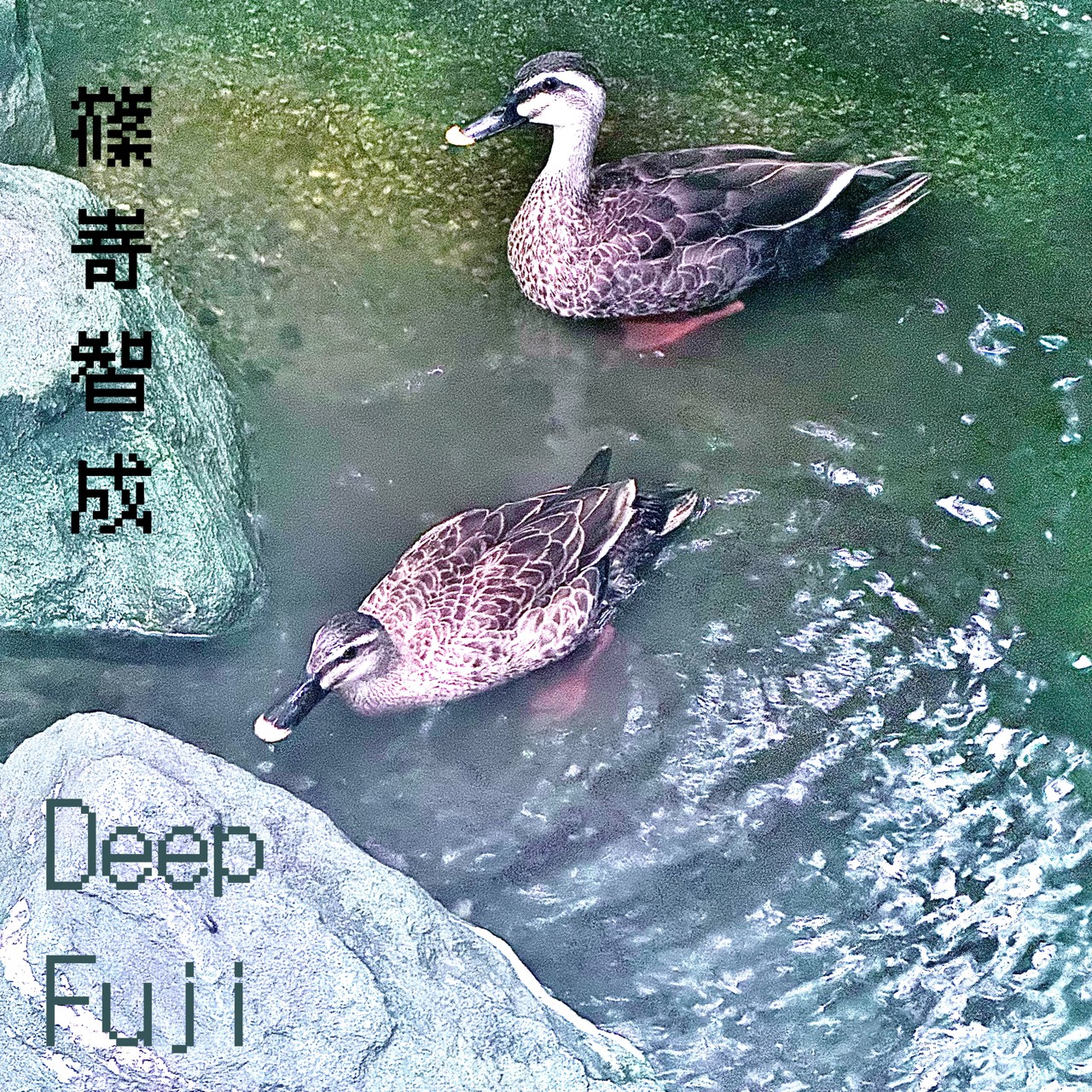 Deep Fuji album cover